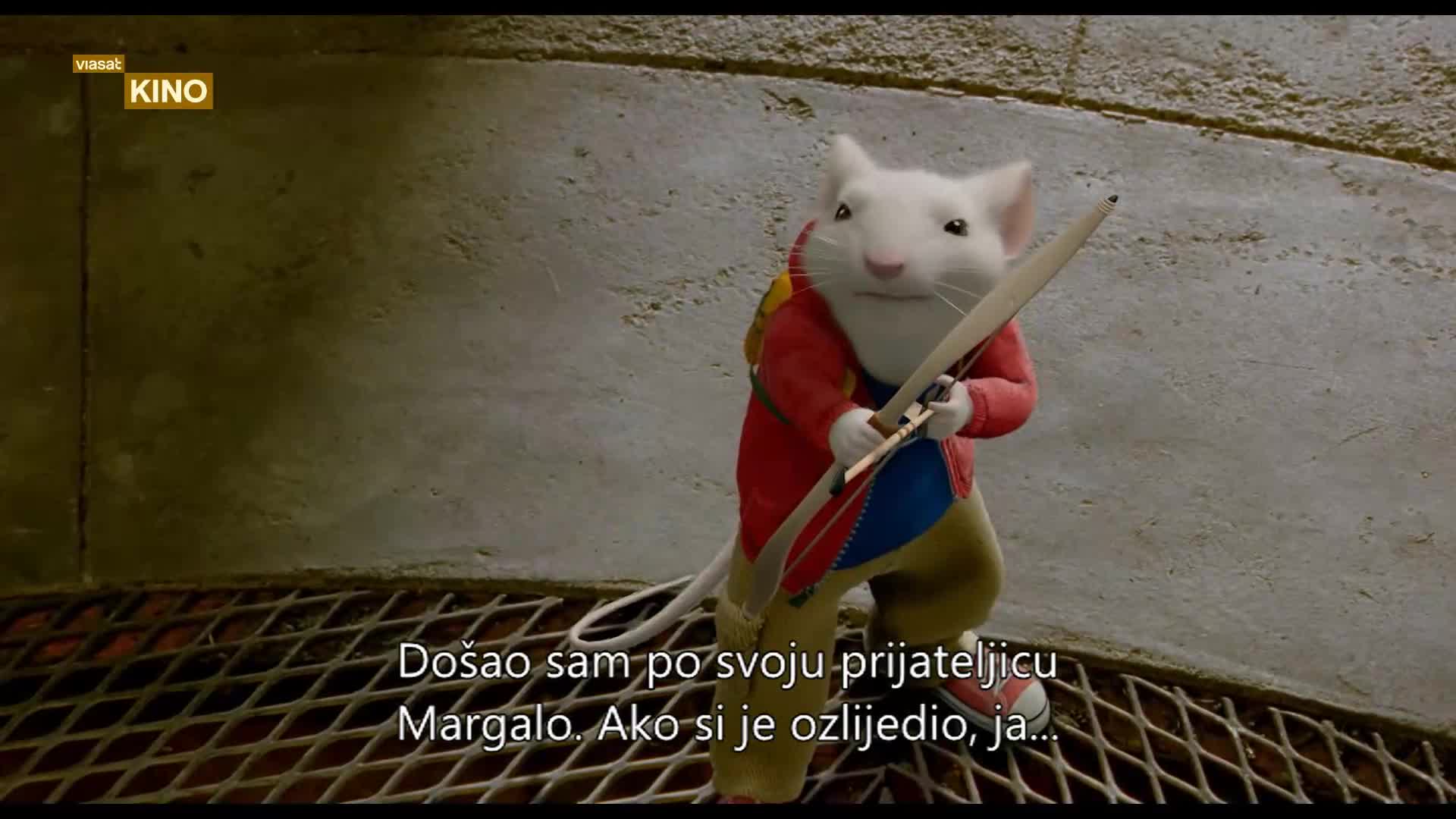 TV1000