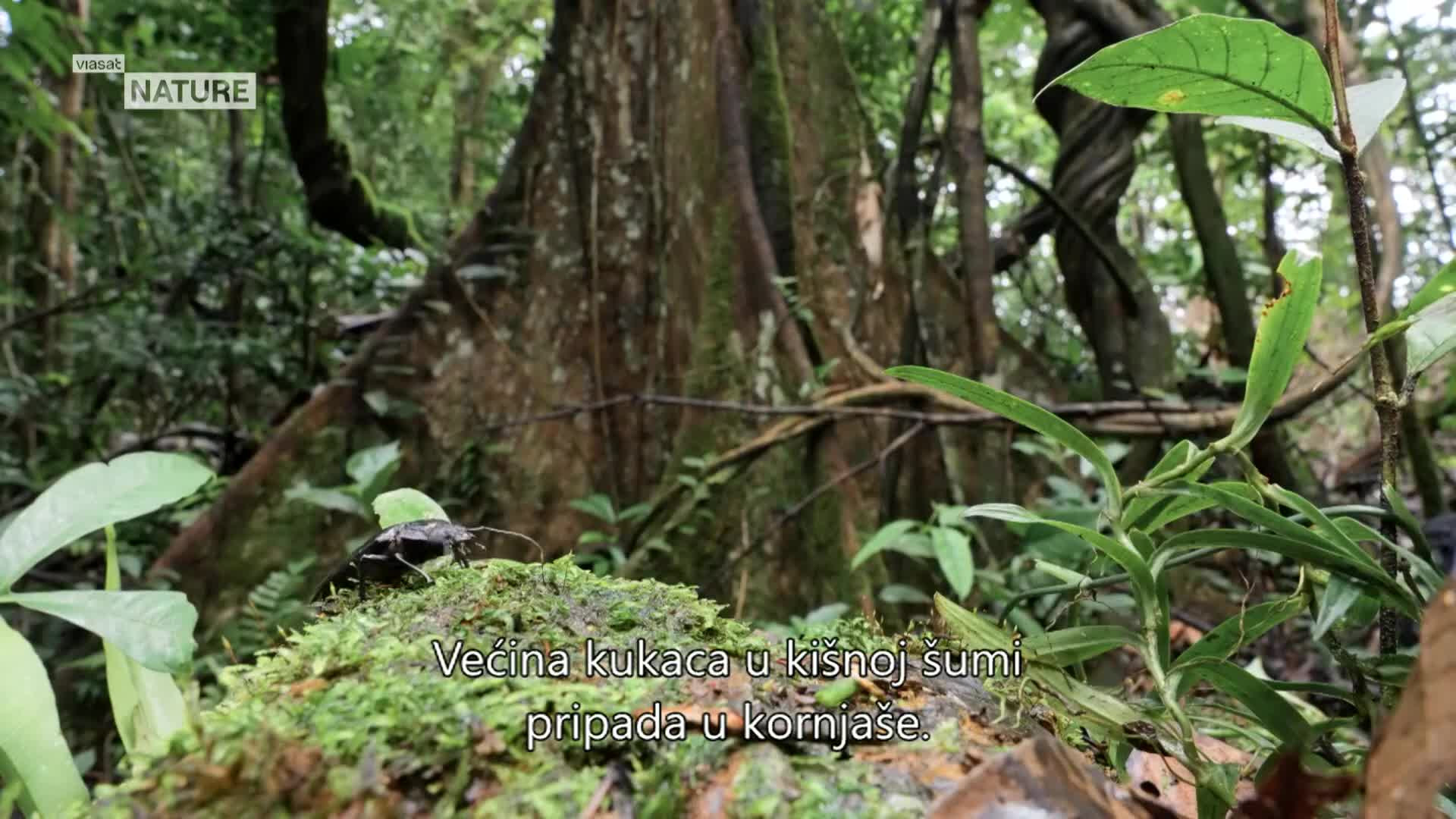 ViasatNature