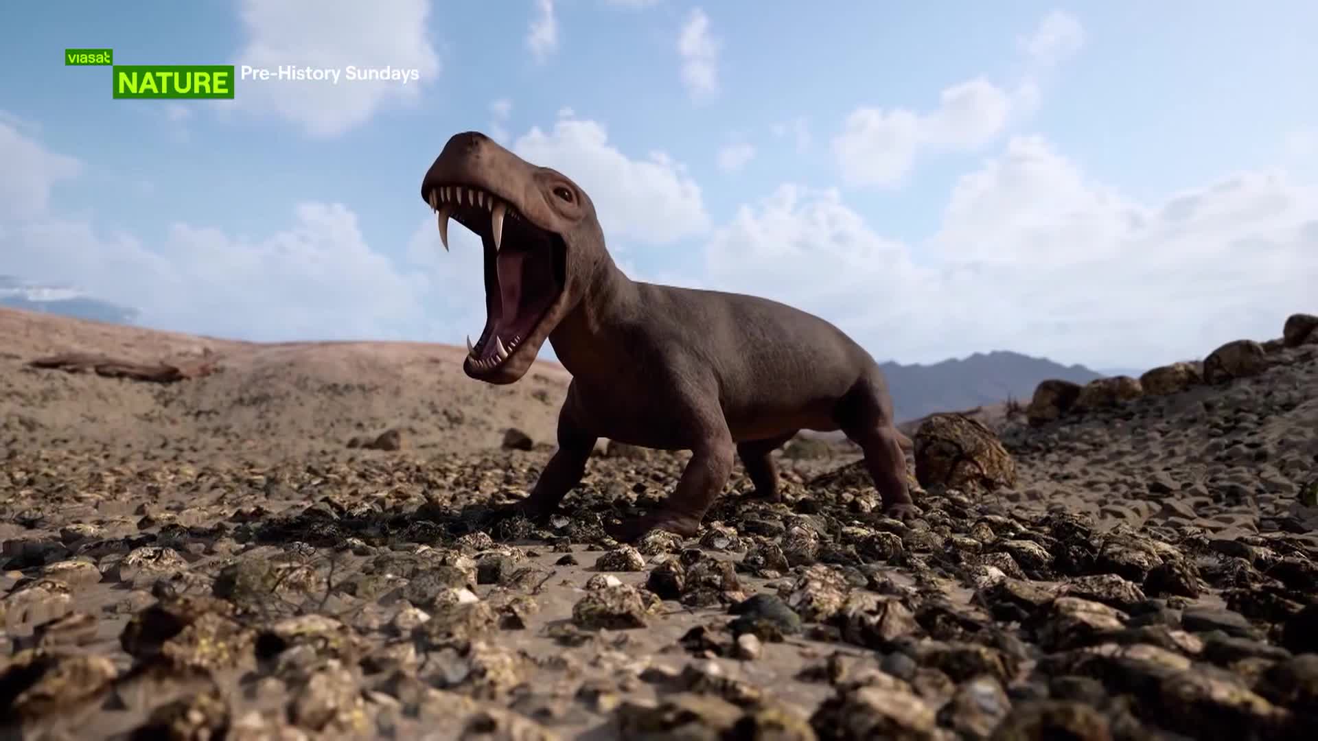 ViasatNature