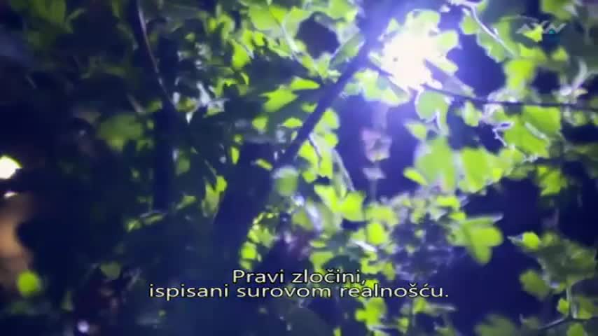 AXNSpin