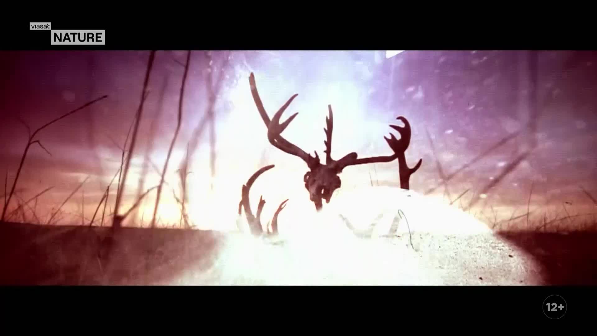 ViasatNature