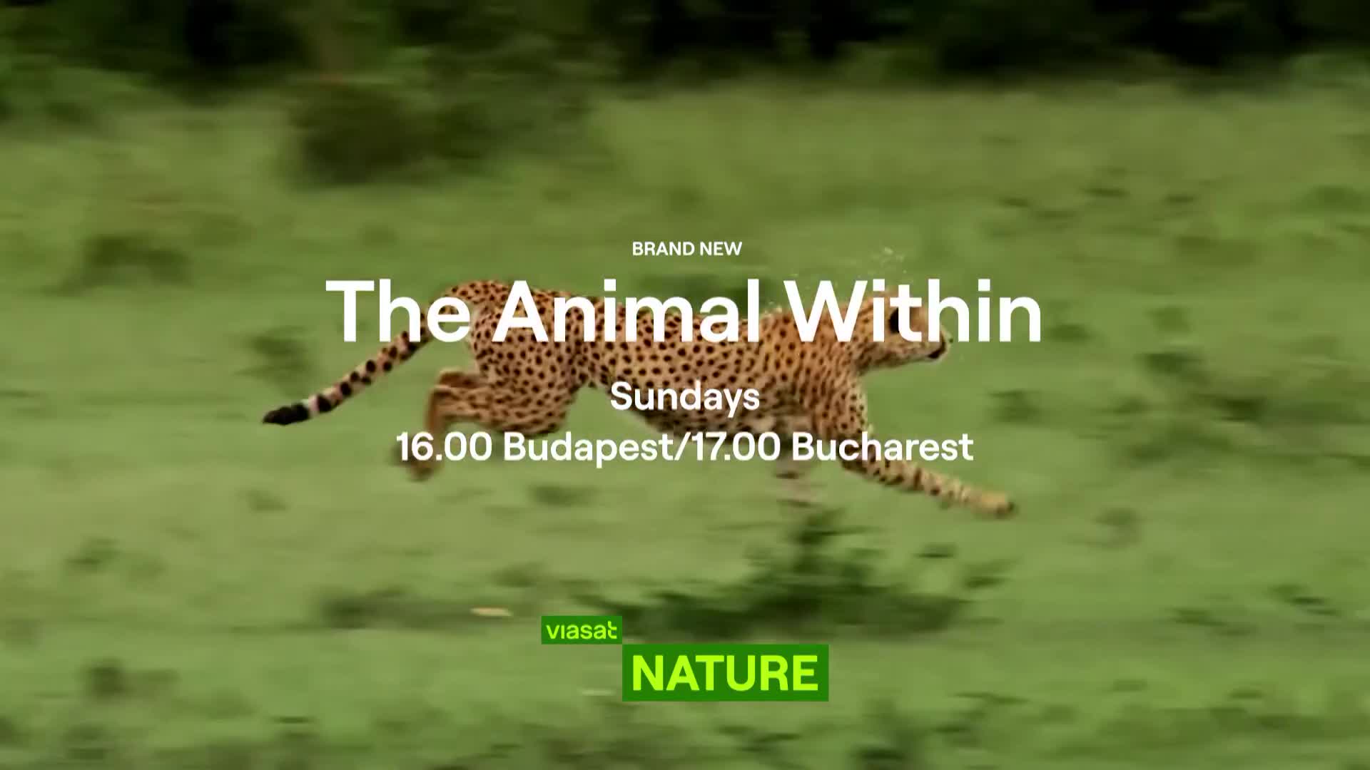 ViasatNature