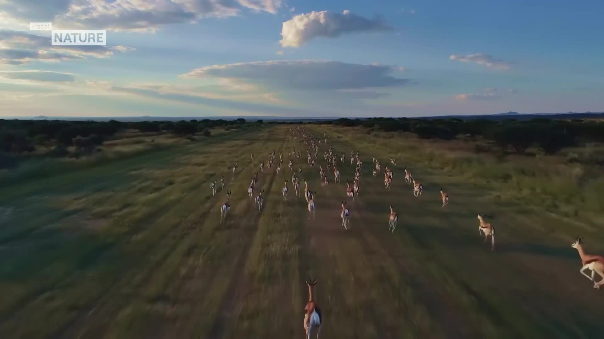 ViasatNature