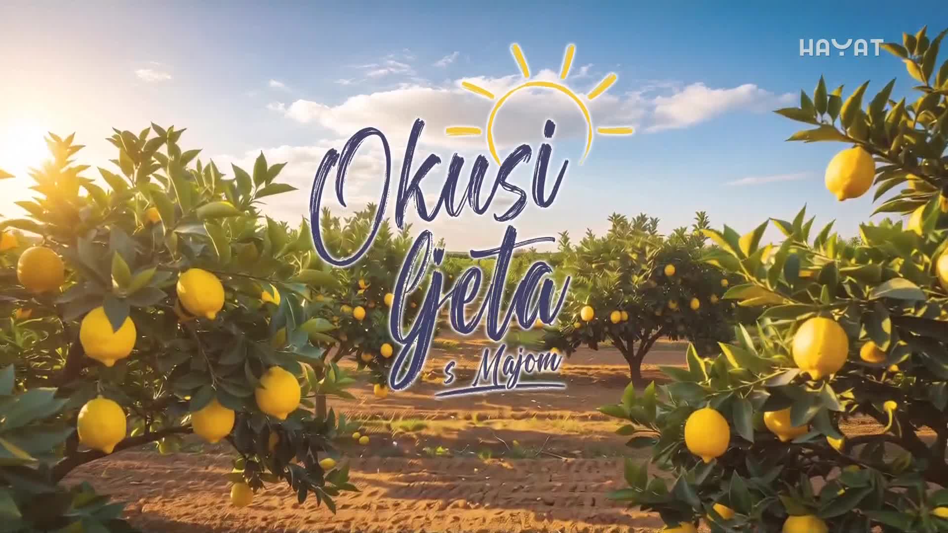 hayat