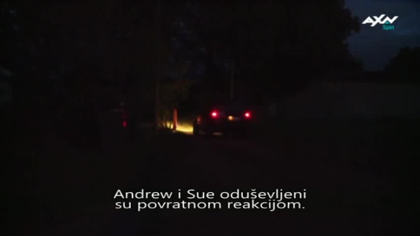 AXNSpin