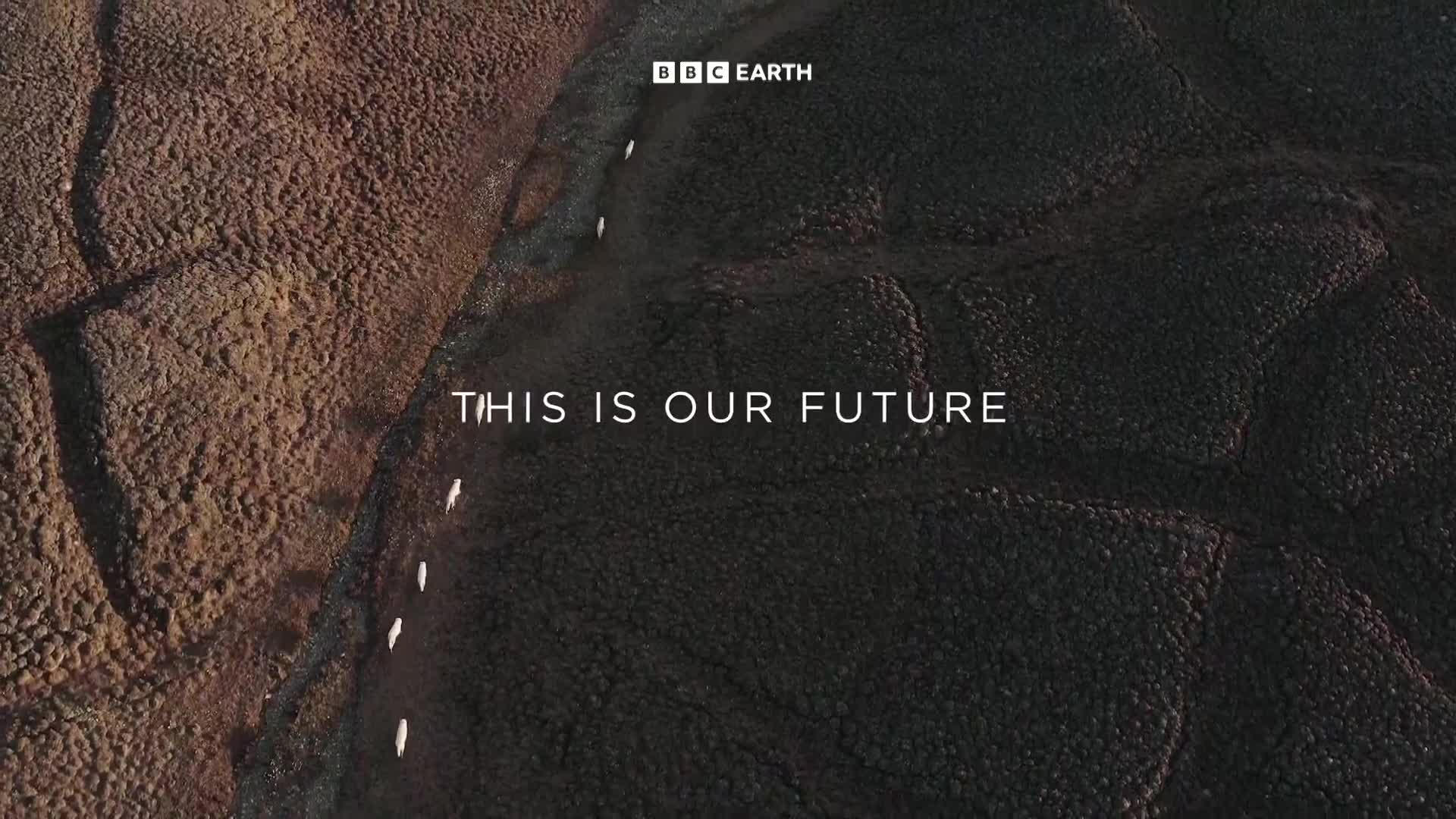 BBCEarth