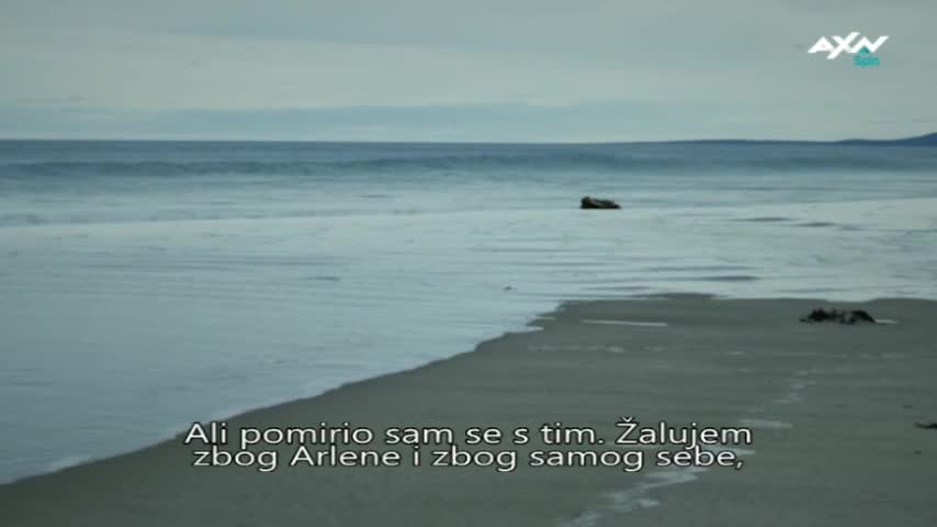 AXNSpin