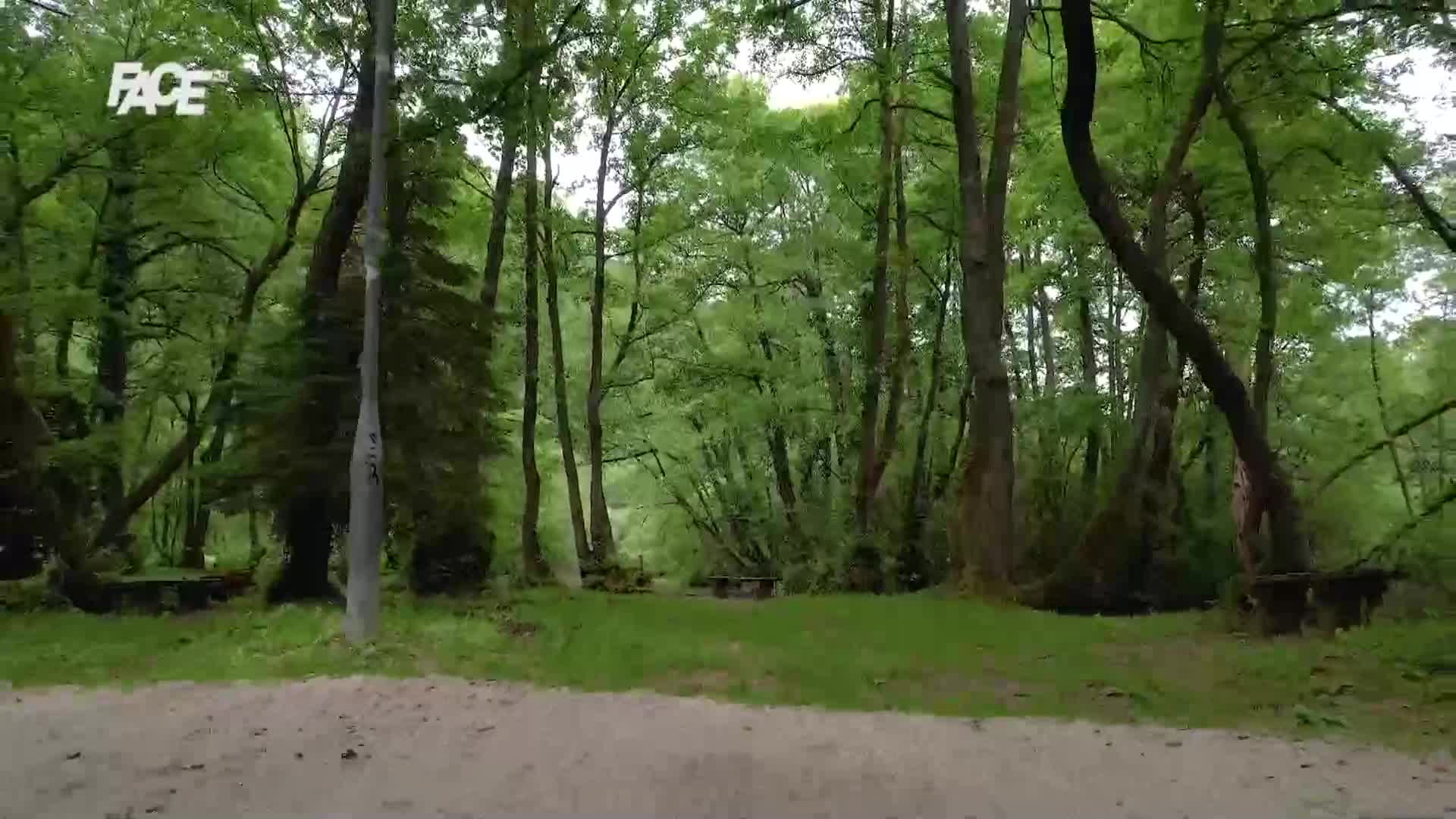 FaceTV