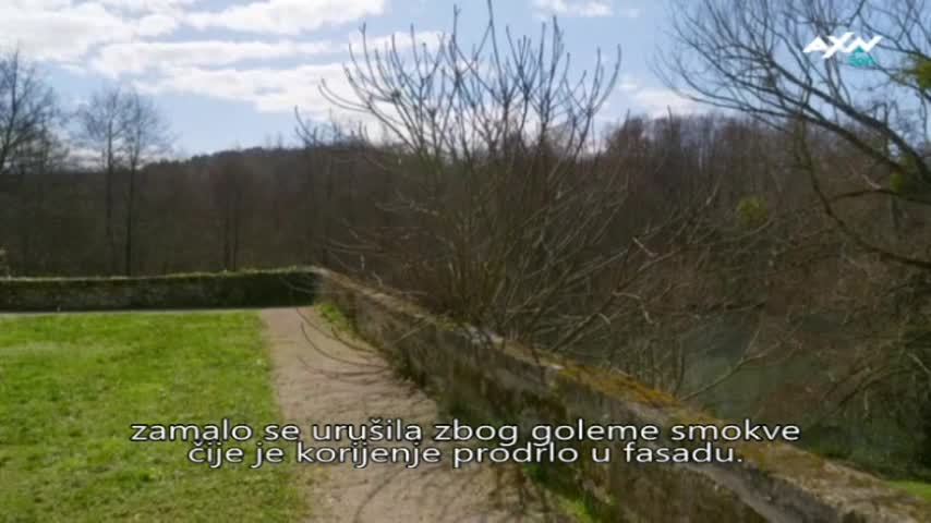 AXNSpin