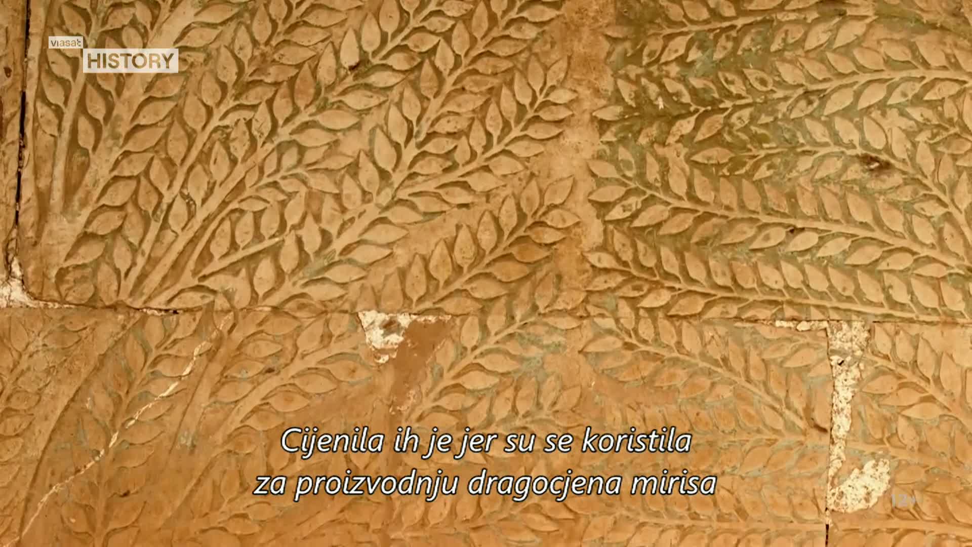 ViasatHistory