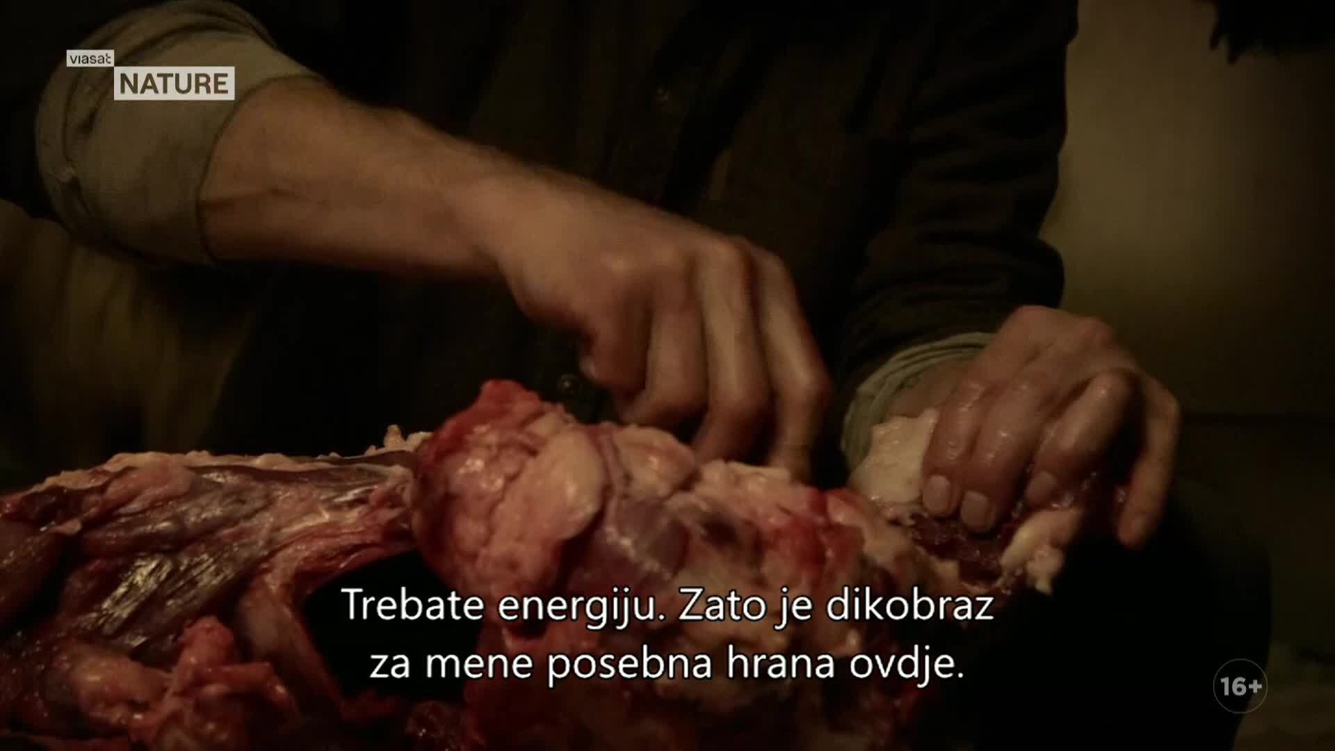 ViasatNature