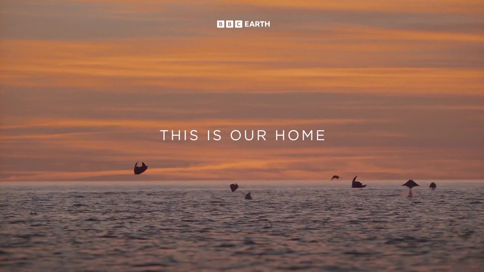 BBCEarth