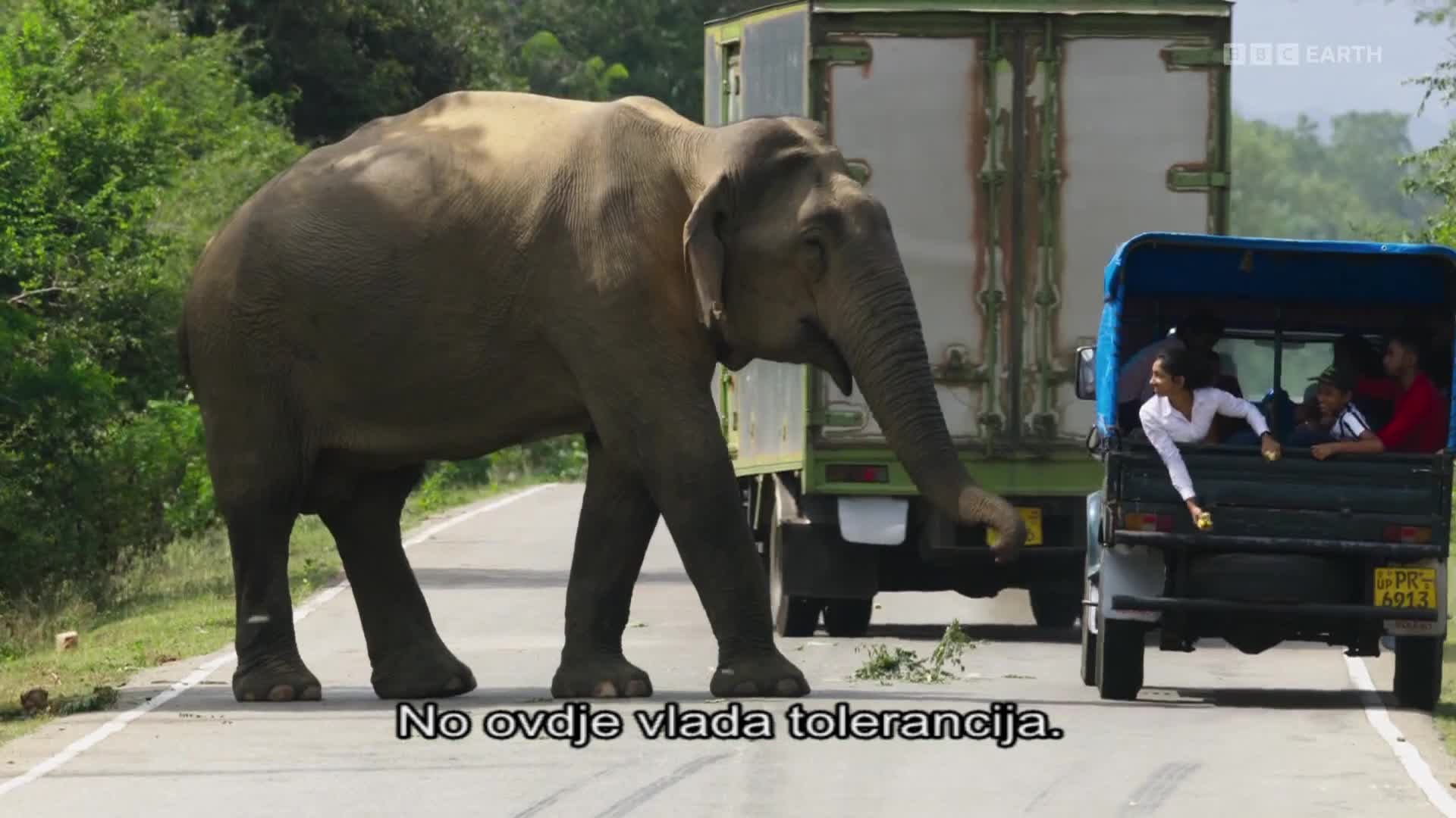BBCEarth