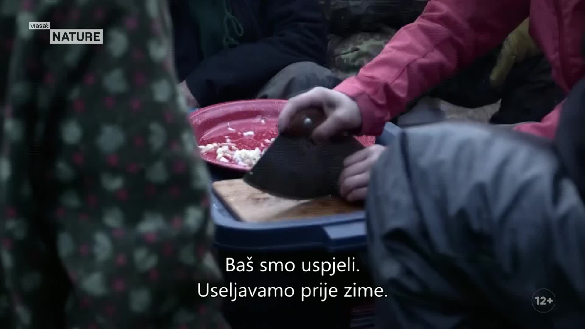 ViasatNature