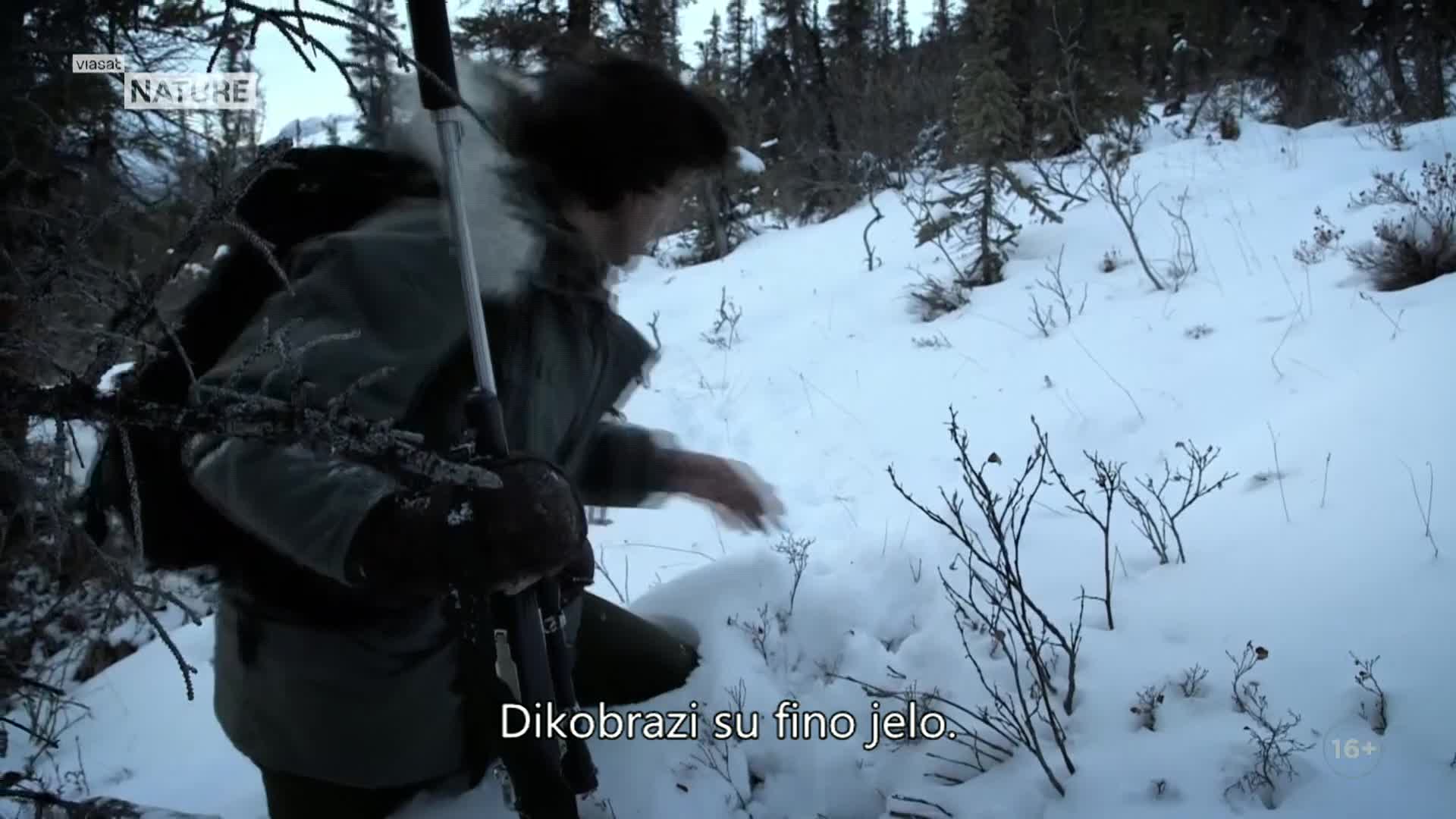 ViasatNature