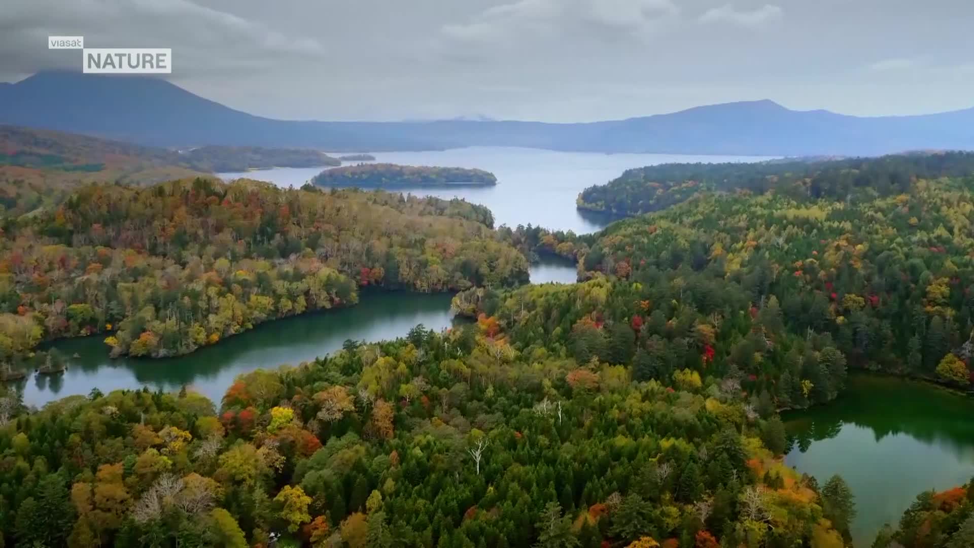 ViasatNature
