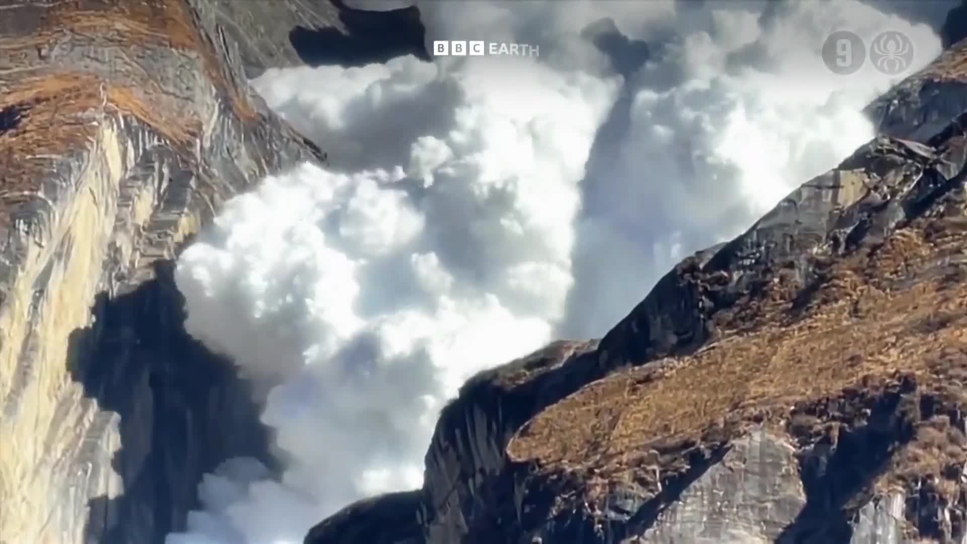 BBCEarth