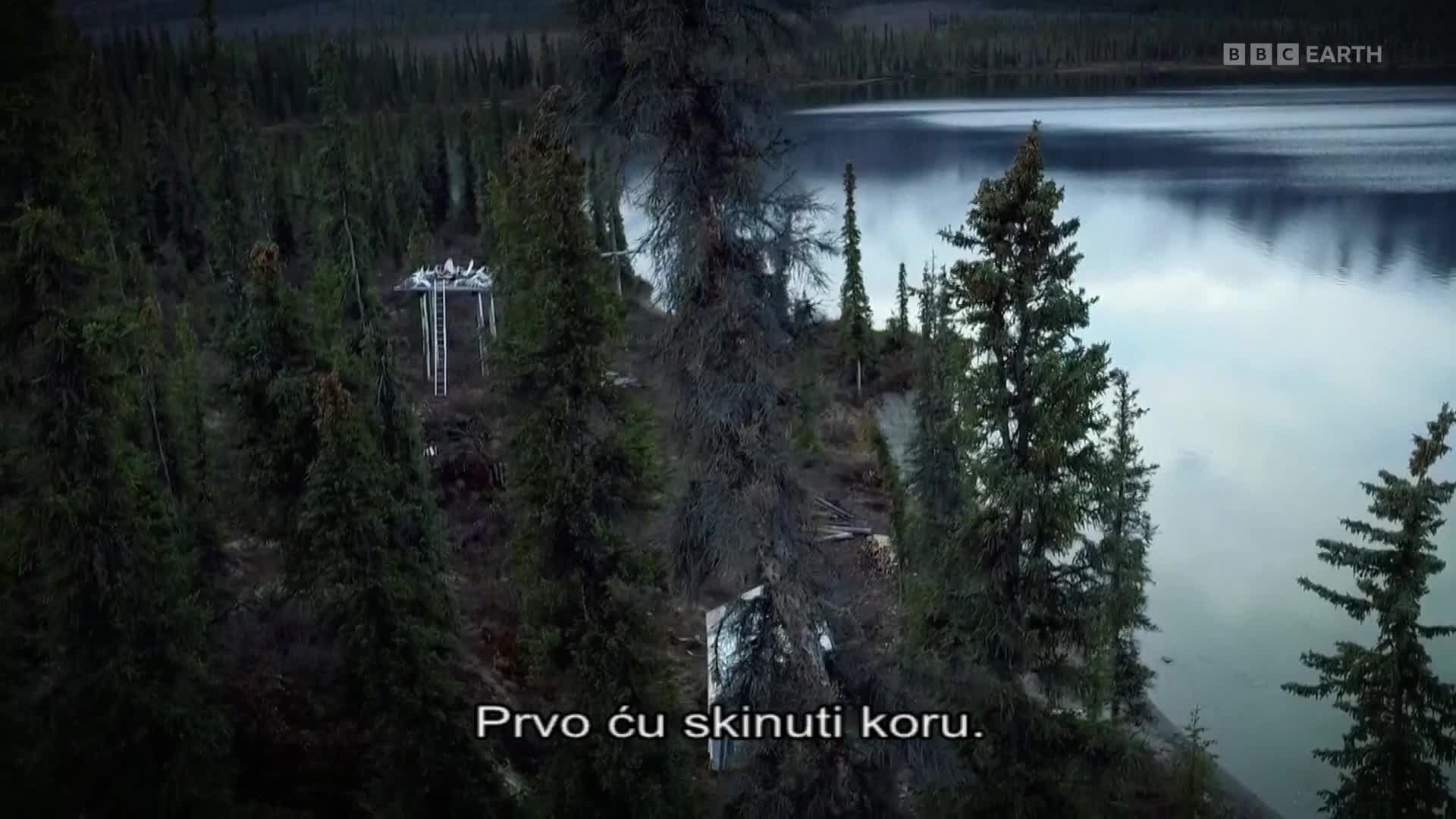 BBCEarth
