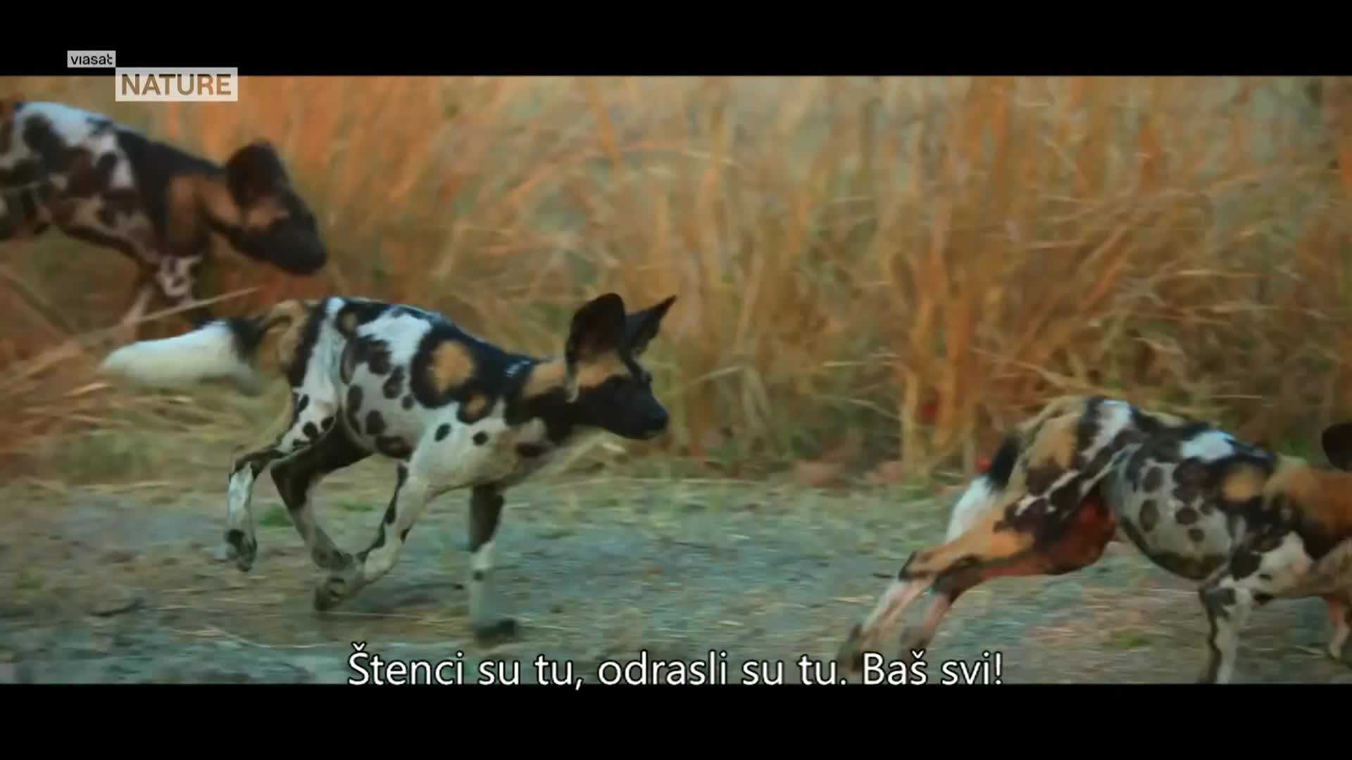 ViasatNature