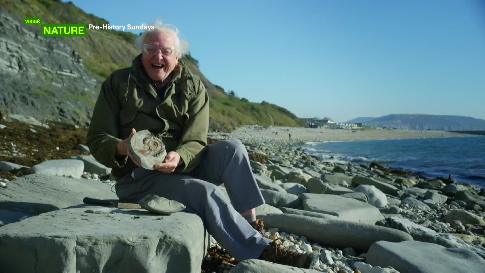 ViasatNature