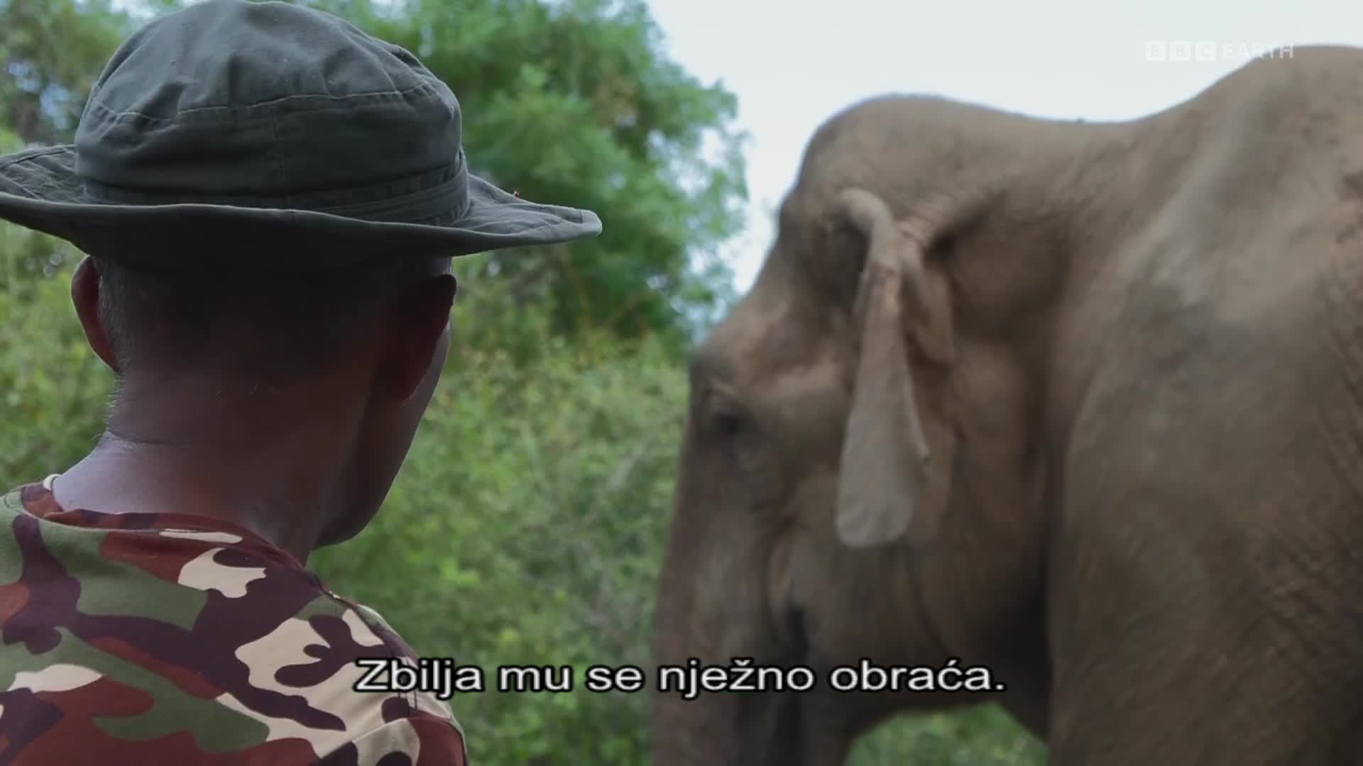 BBCEarth