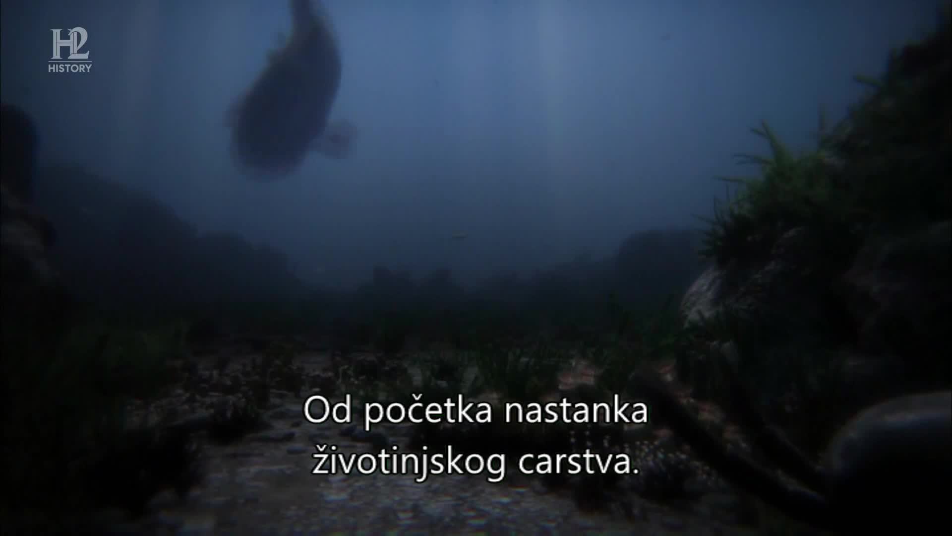 History2