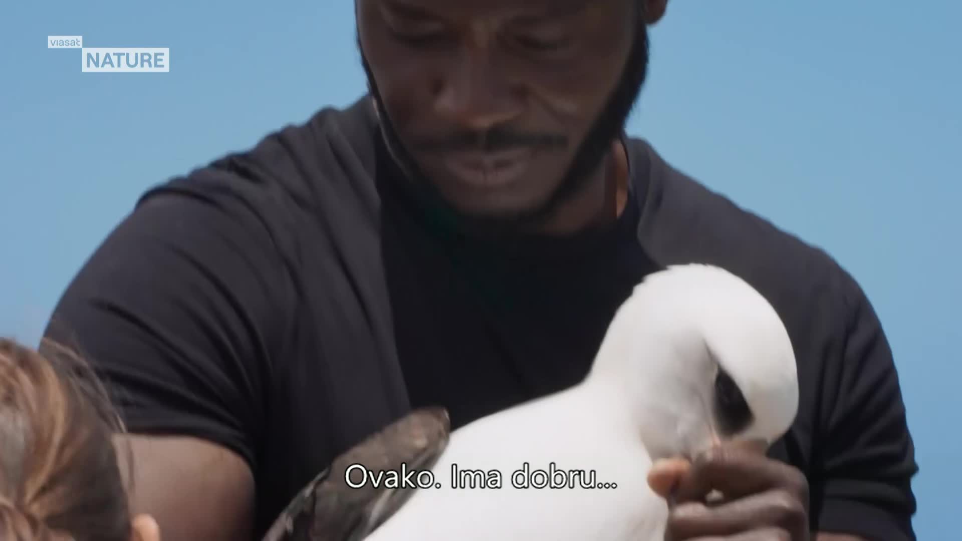 ViasatNature