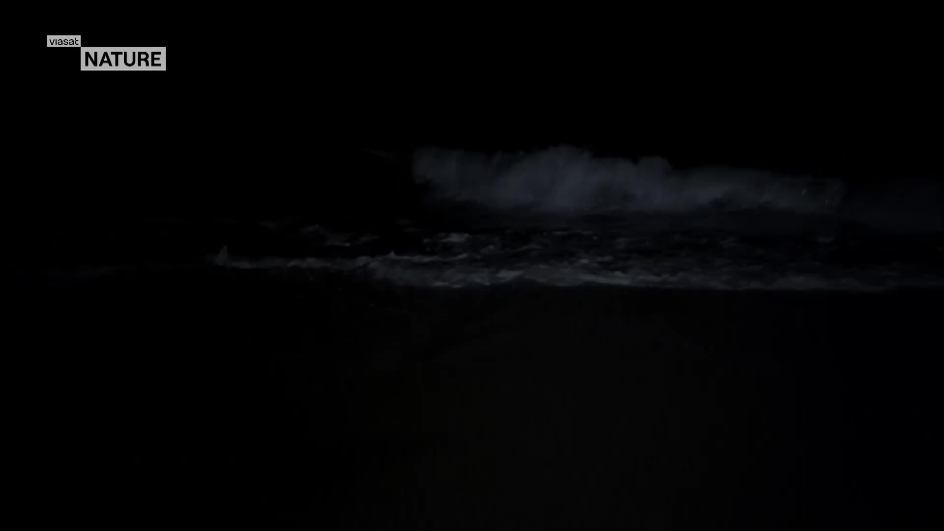 ViasatNature