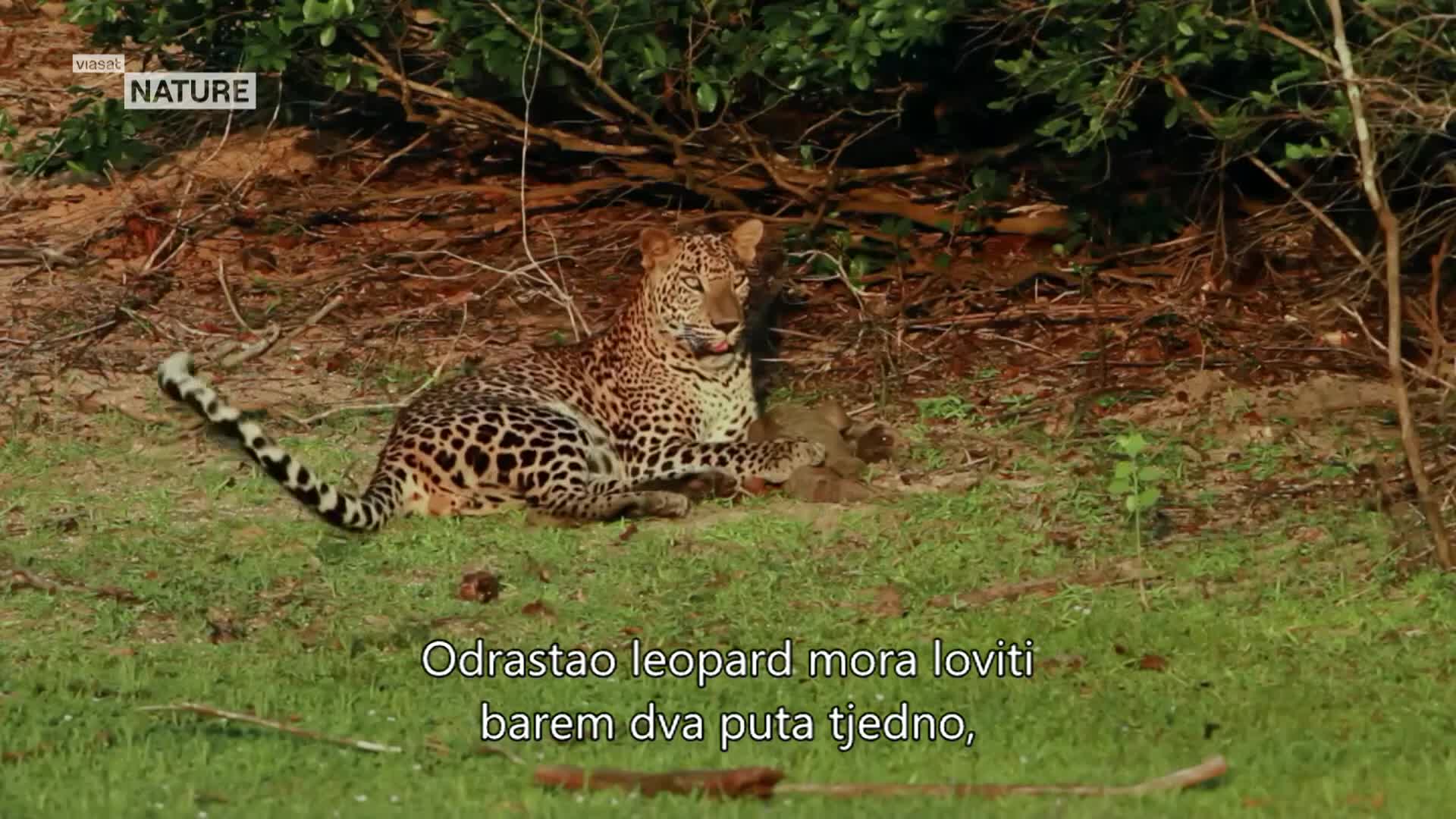ViasatNature