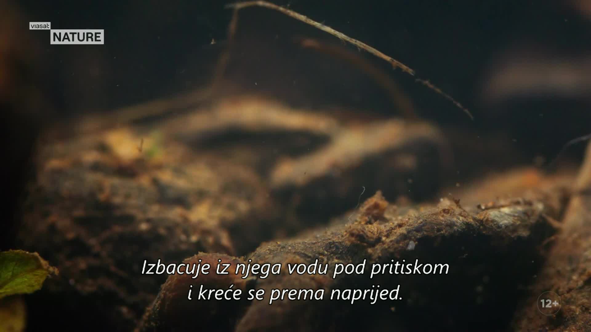 ViasatNature