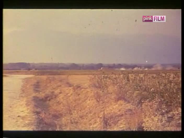 PinkFilm