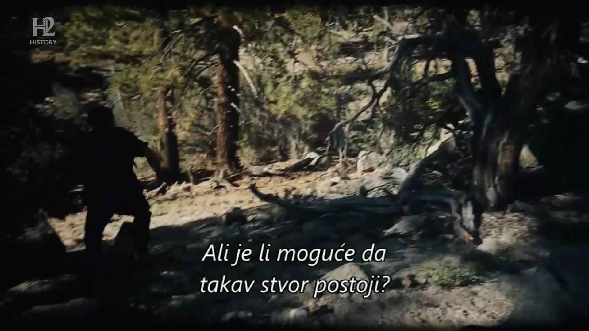 History2