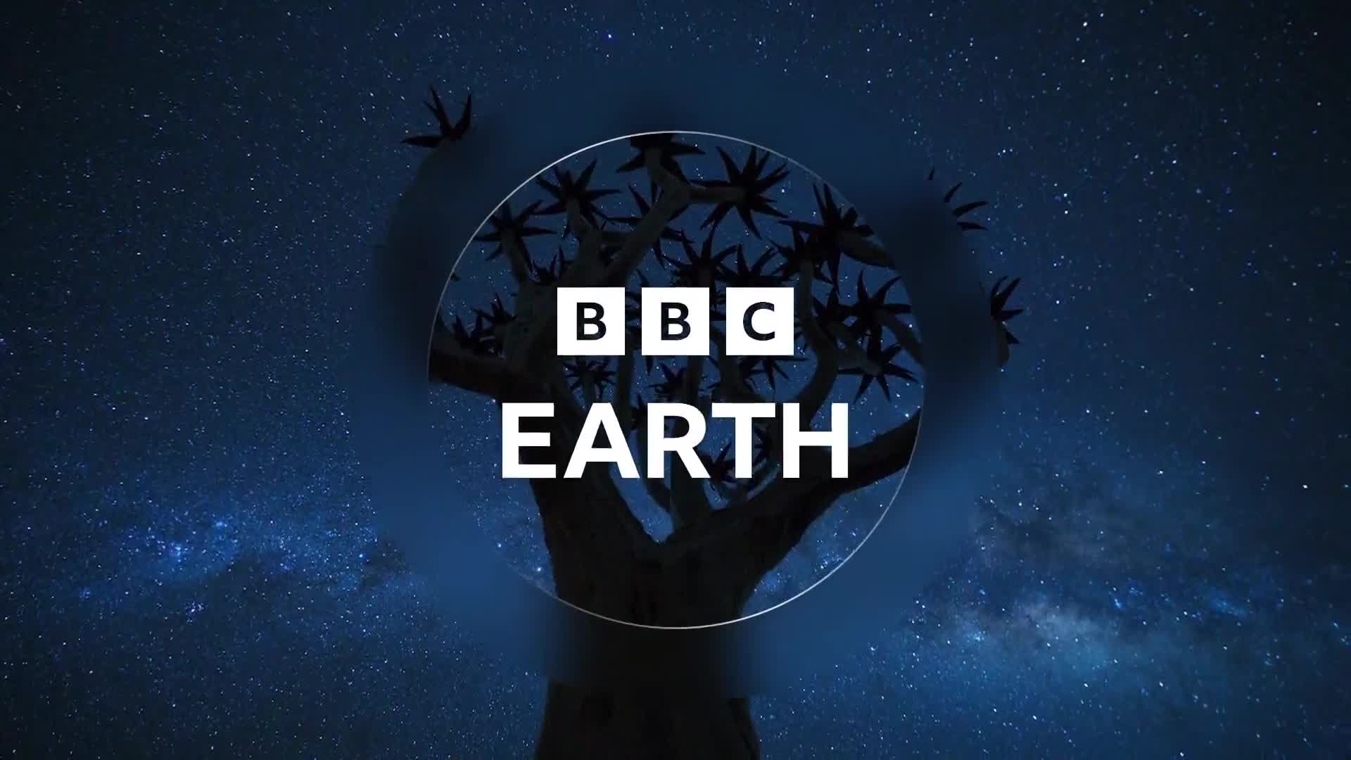 BBCEarth
