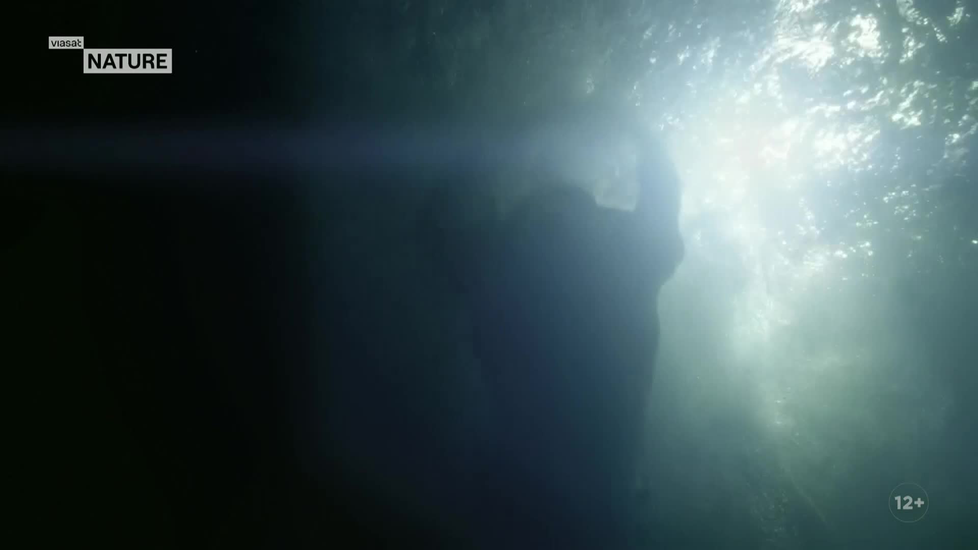 ViasatNature