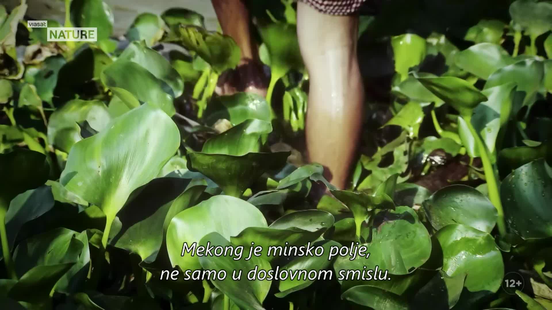 ViasatNature
