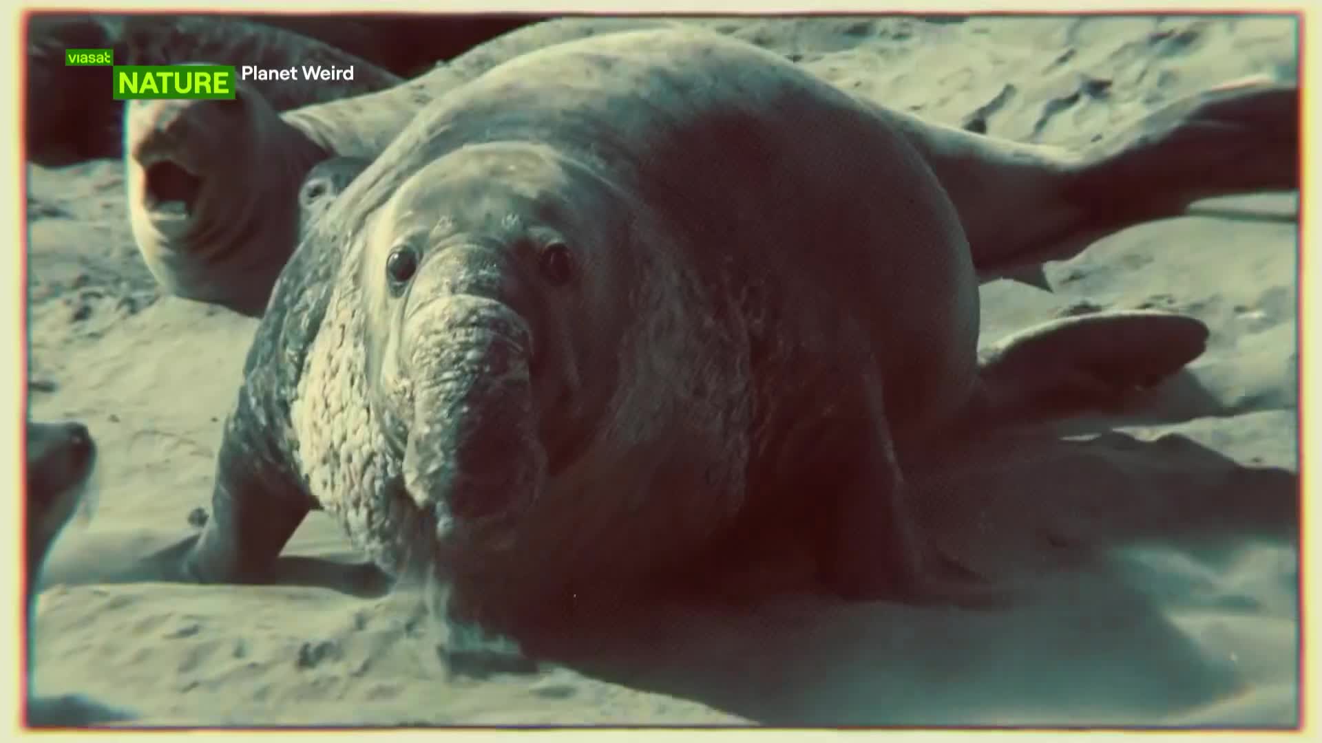 ViasatNature