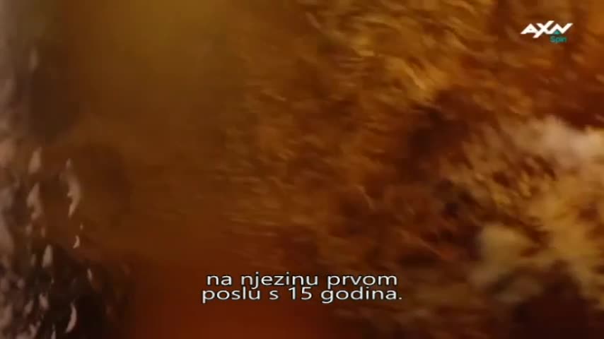 AXNSpin