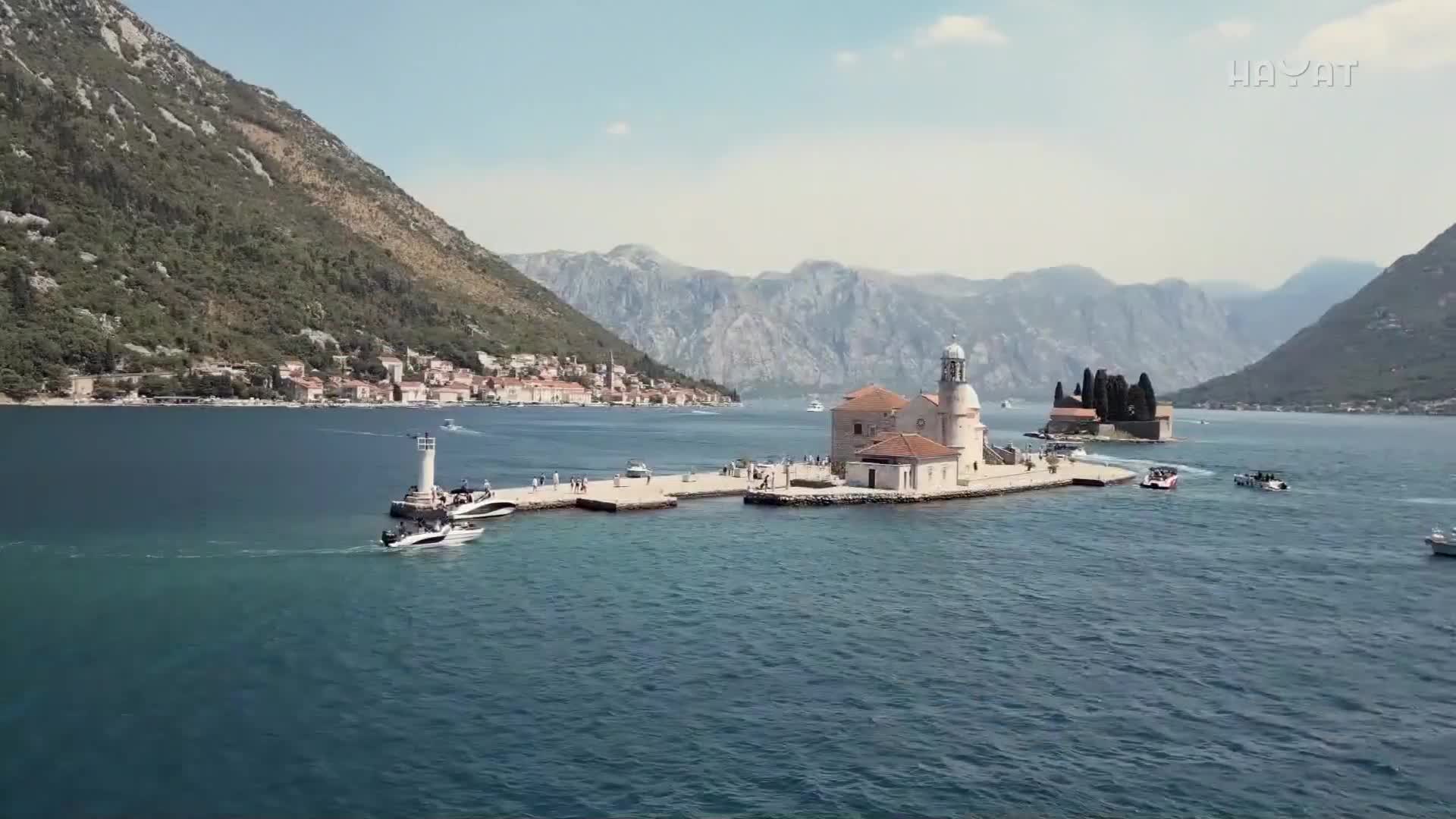 hayat