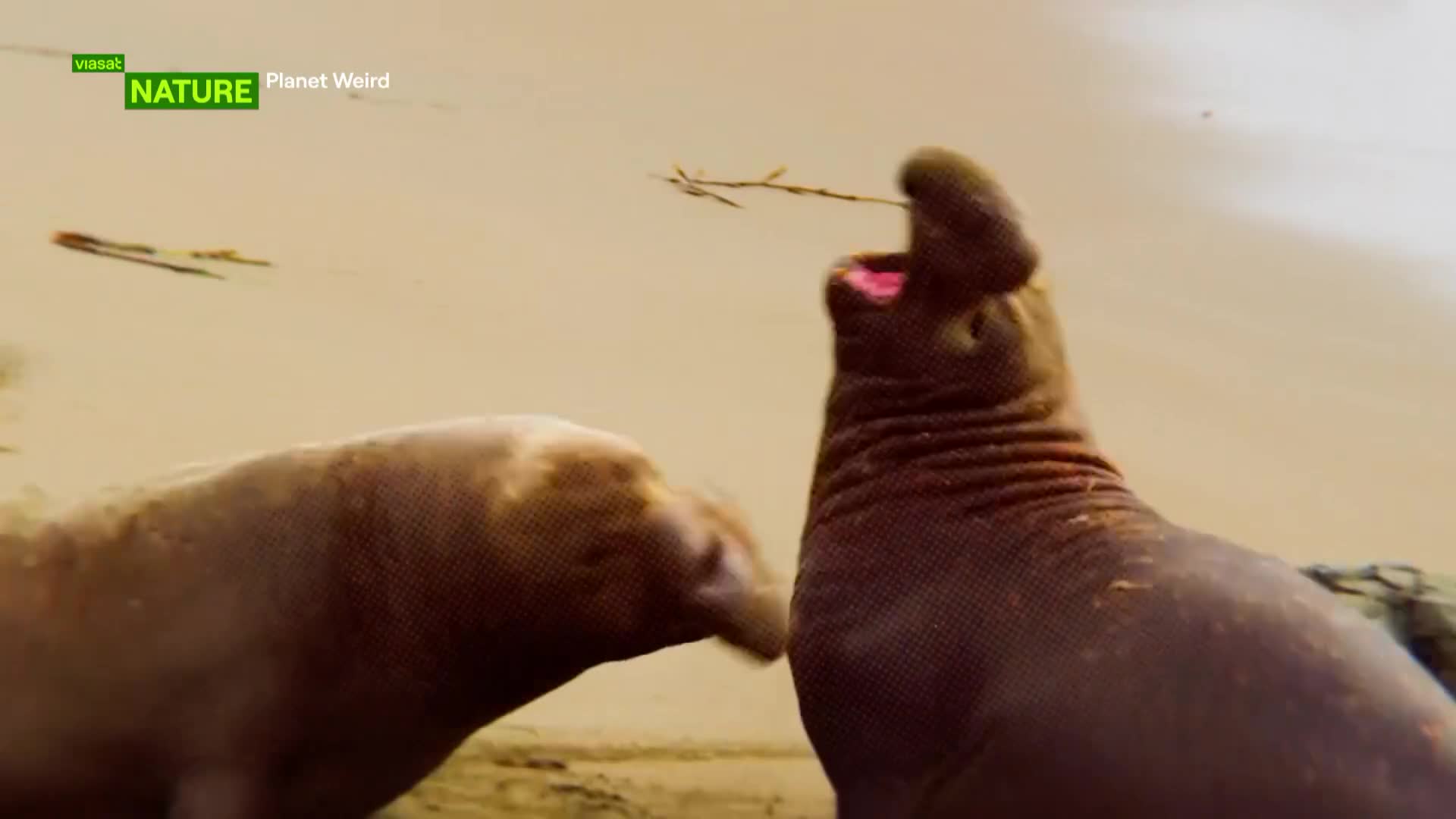 ViasatNature