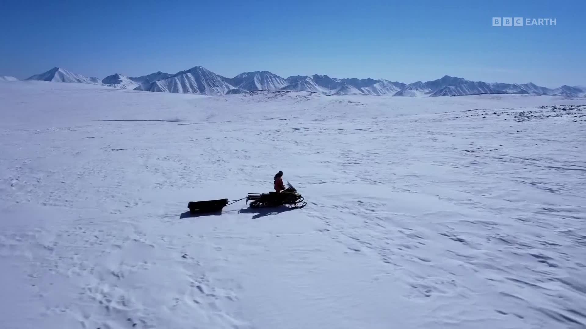 BBCEarth