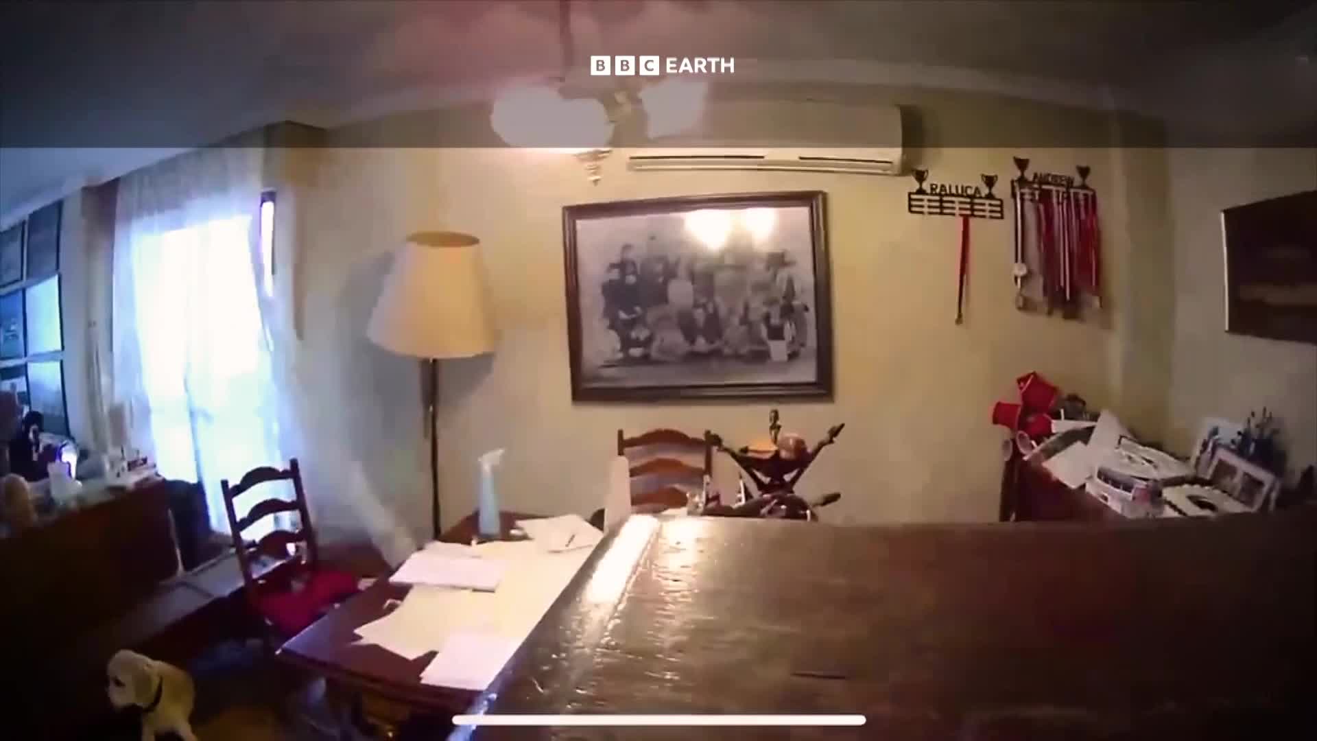 BBCEarth