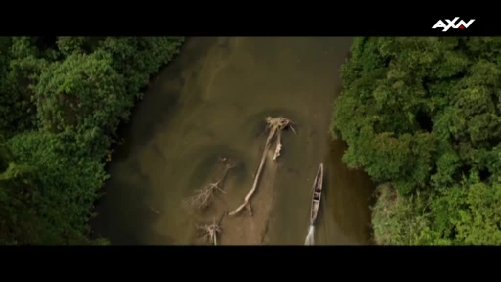 AXN