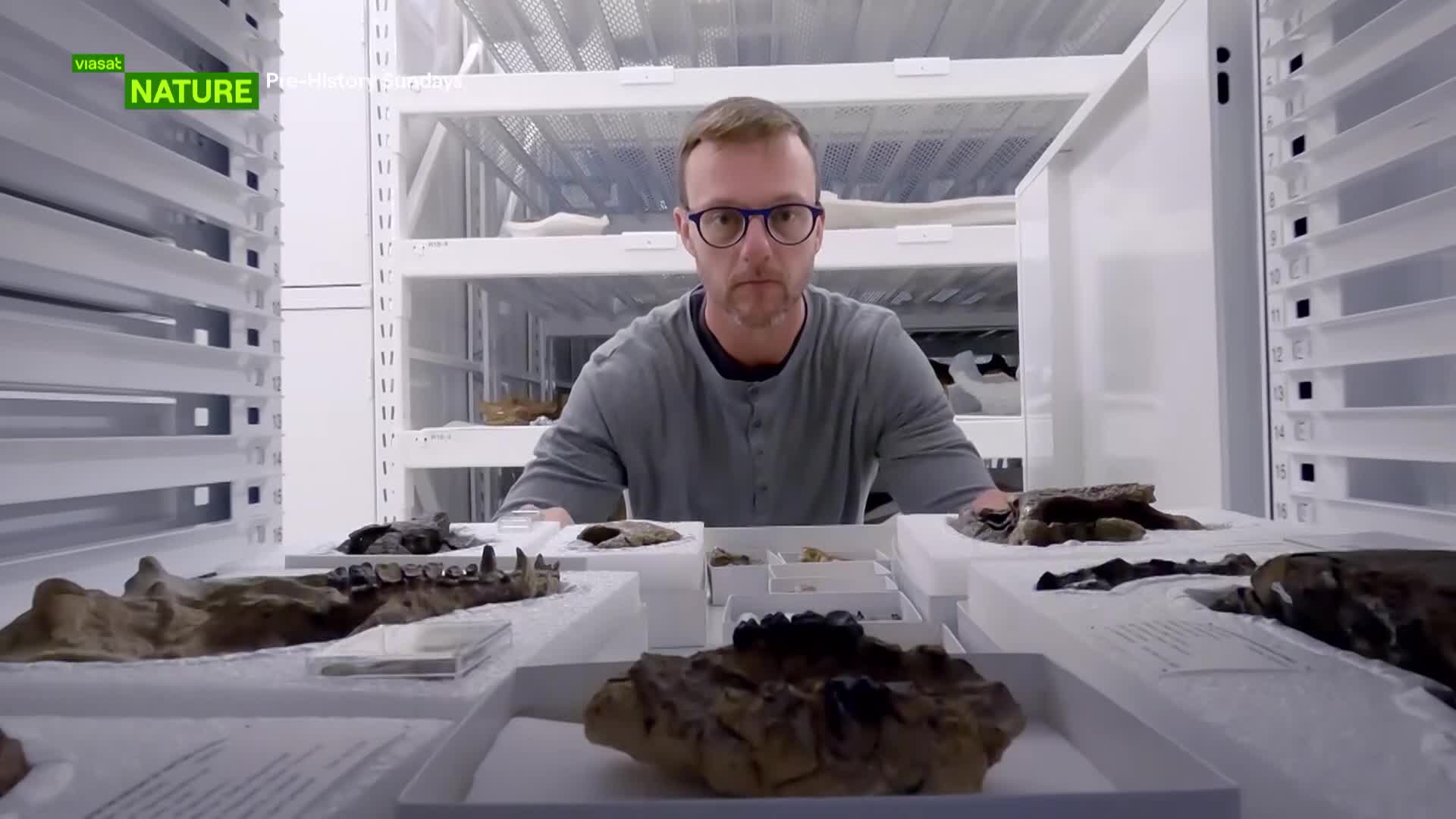ViasatNature