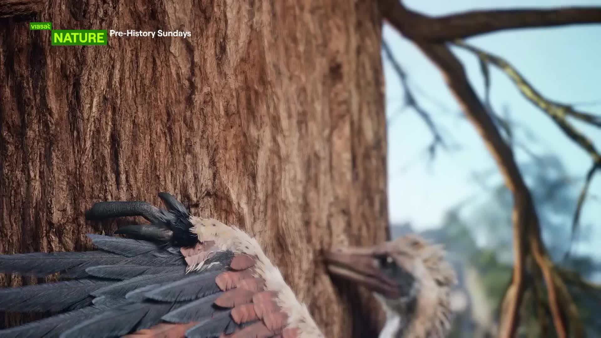 ViasatNature