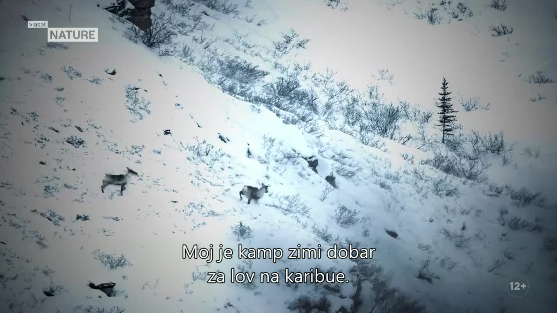 ViasatNature