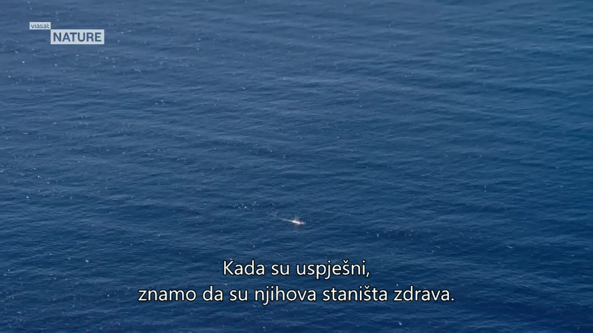 ViasatNature