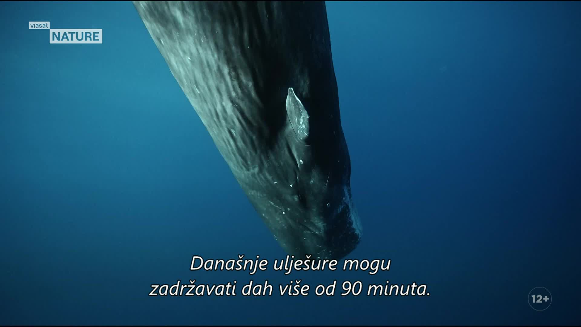ViasatNature