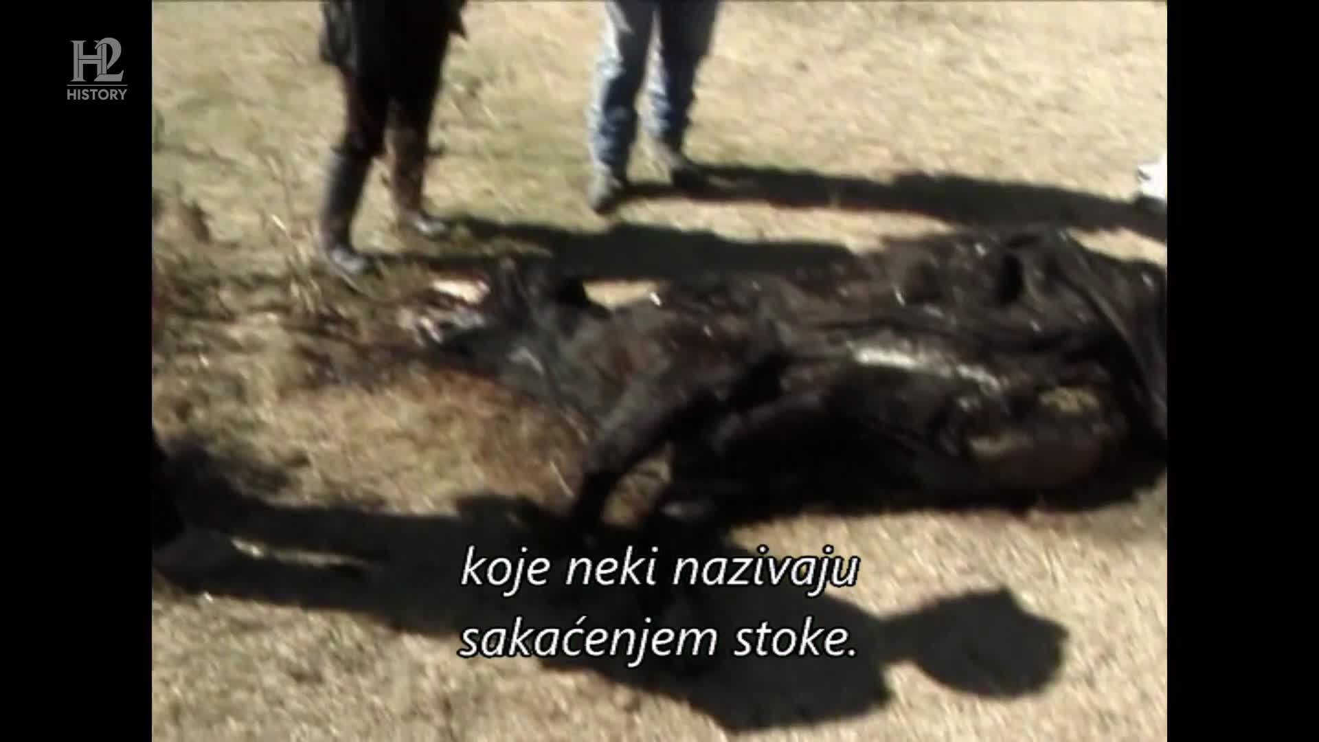 History2