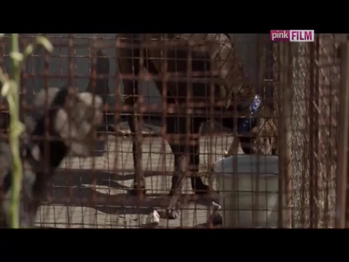 PinkFilm