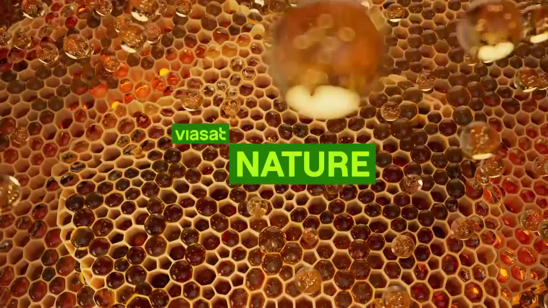 ViasatNature